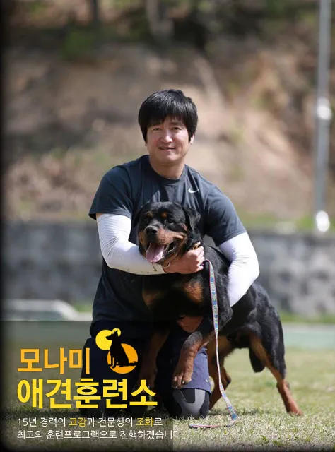 모나미랜드 애견훈련소 대표 이미지