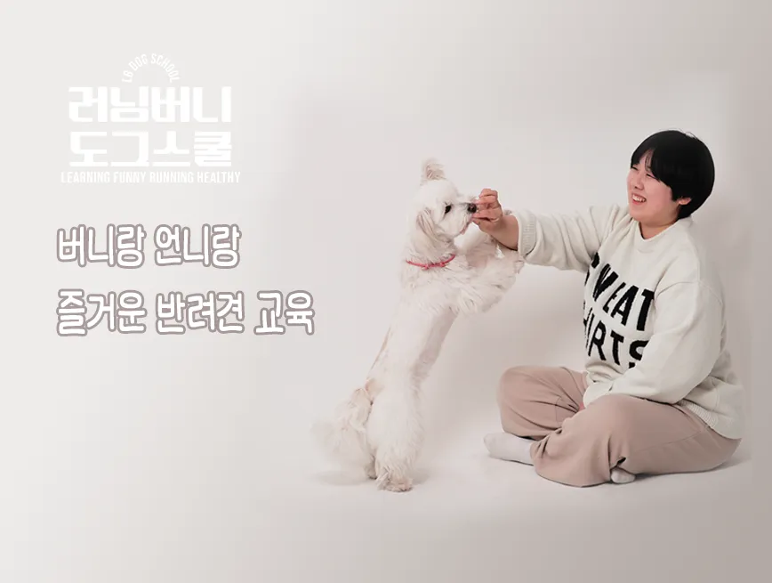 러닝버니 도그스쿨 대표 이미지