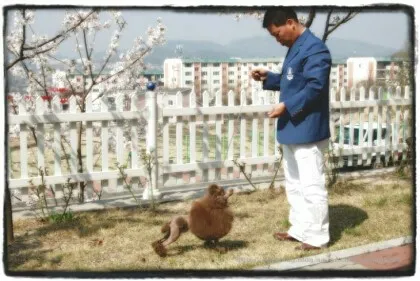 도그타운클럽&쇼그루밍 대표 이미지