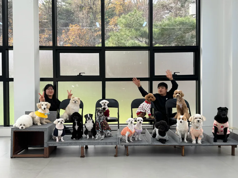 안녕똑독아소형견유치원호텔 대표 이미지