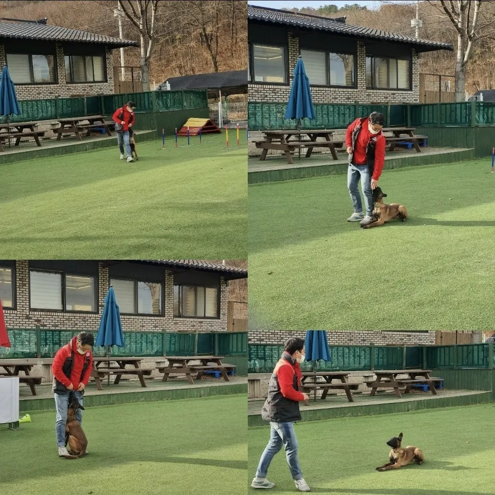 드림 반려견교육센터 대표 이미지