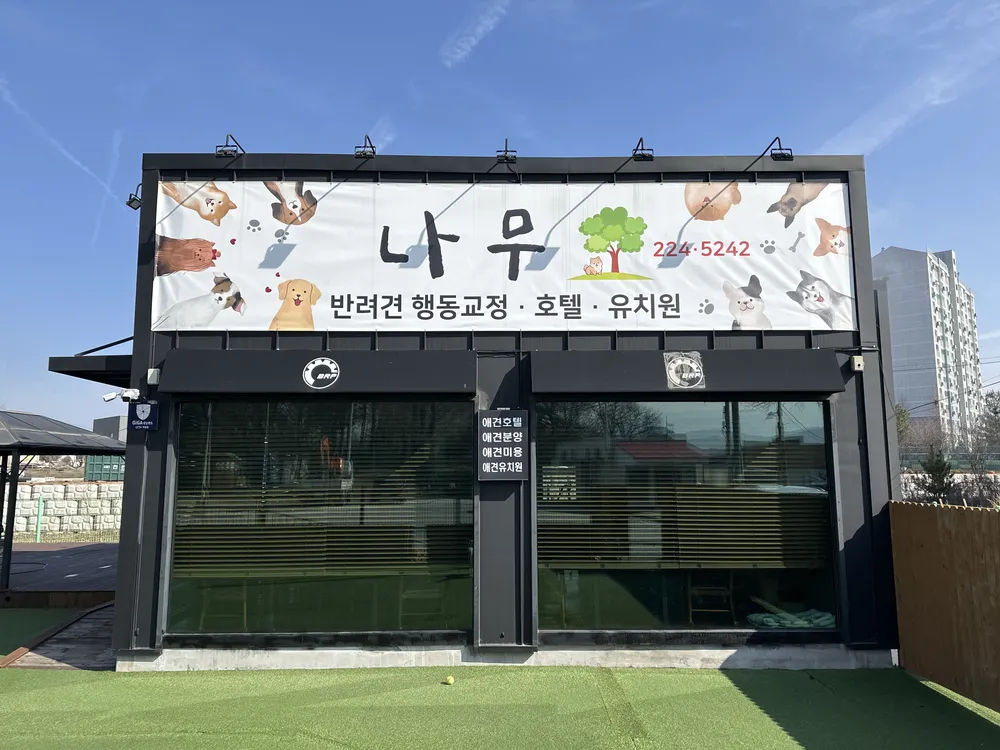 나무 대표 이미지