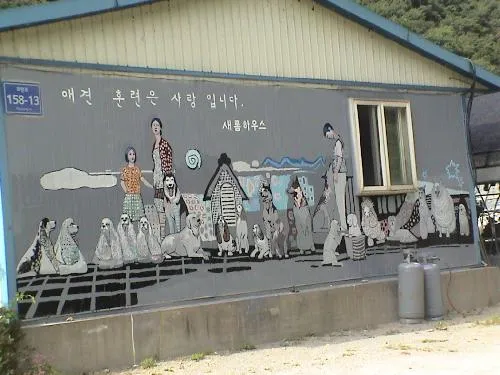 애견훈련학교새롬하우스 대표 이미지