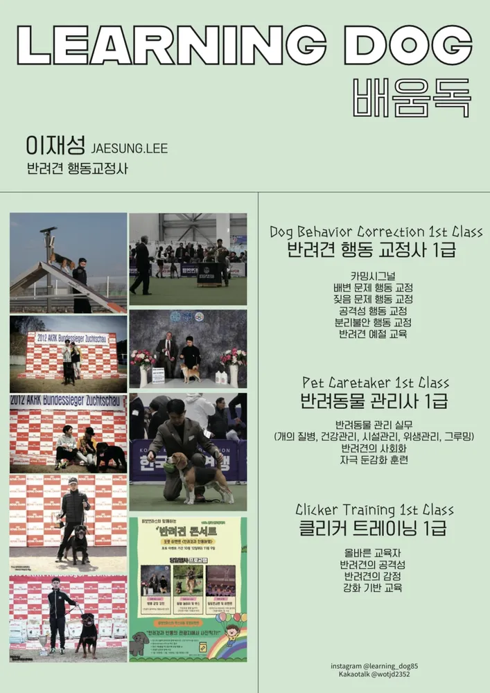 배움독 대표 이미지