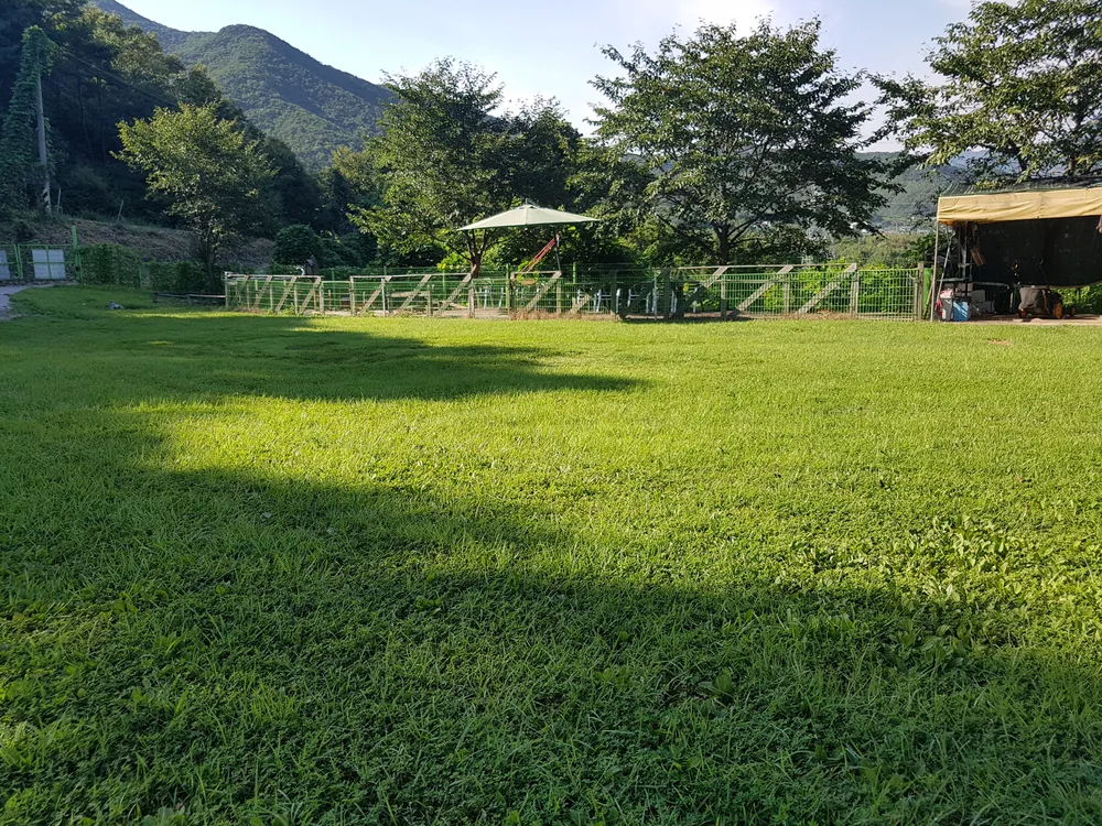 K9애견훈련소 대표 이미지