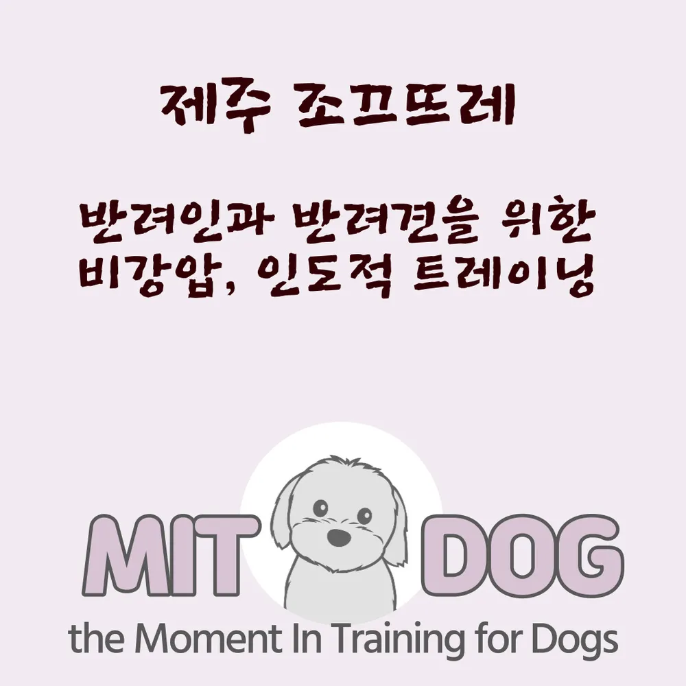 엠아이티도그 대표 이미지