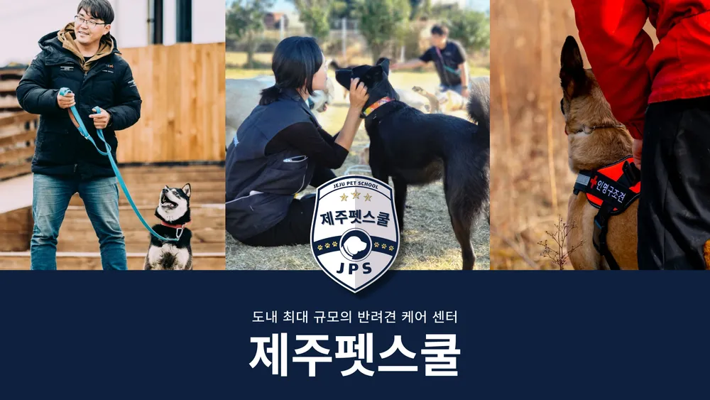 제주펫스쿨 대표 이미지