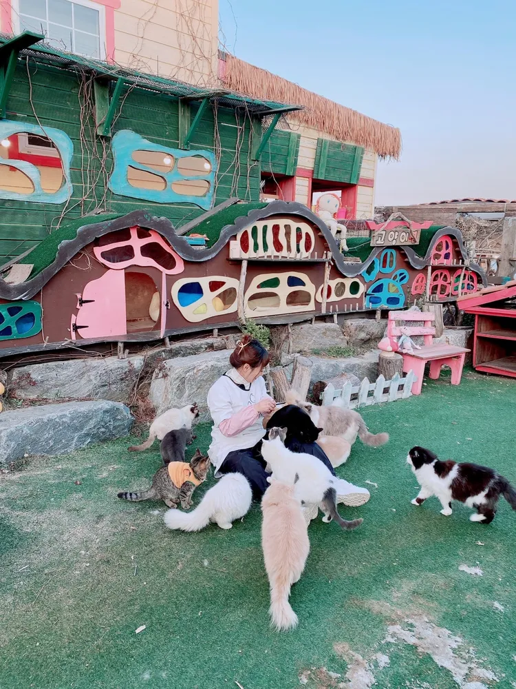 캣샵하우스 대표 이미지