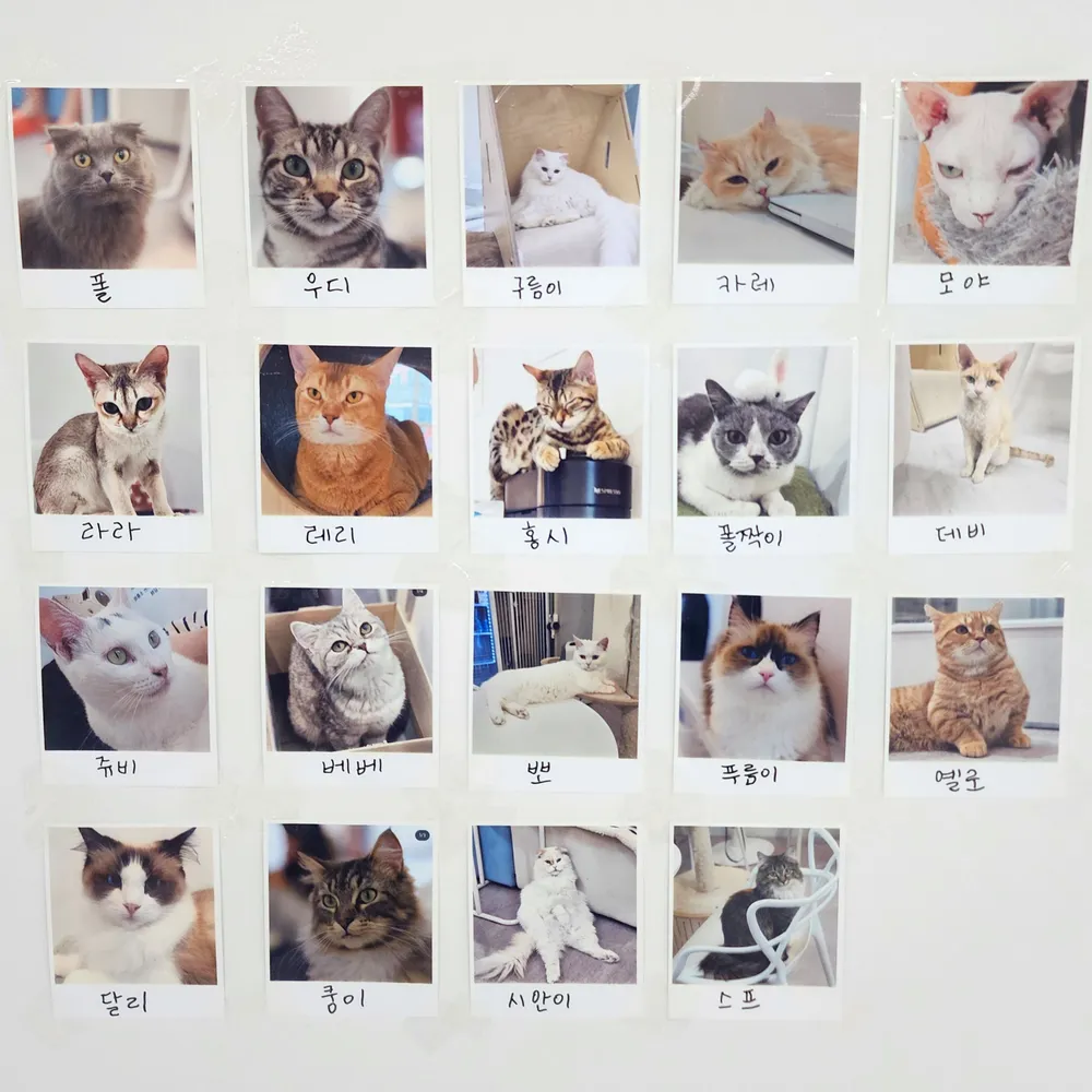 묘해 대표 이미지