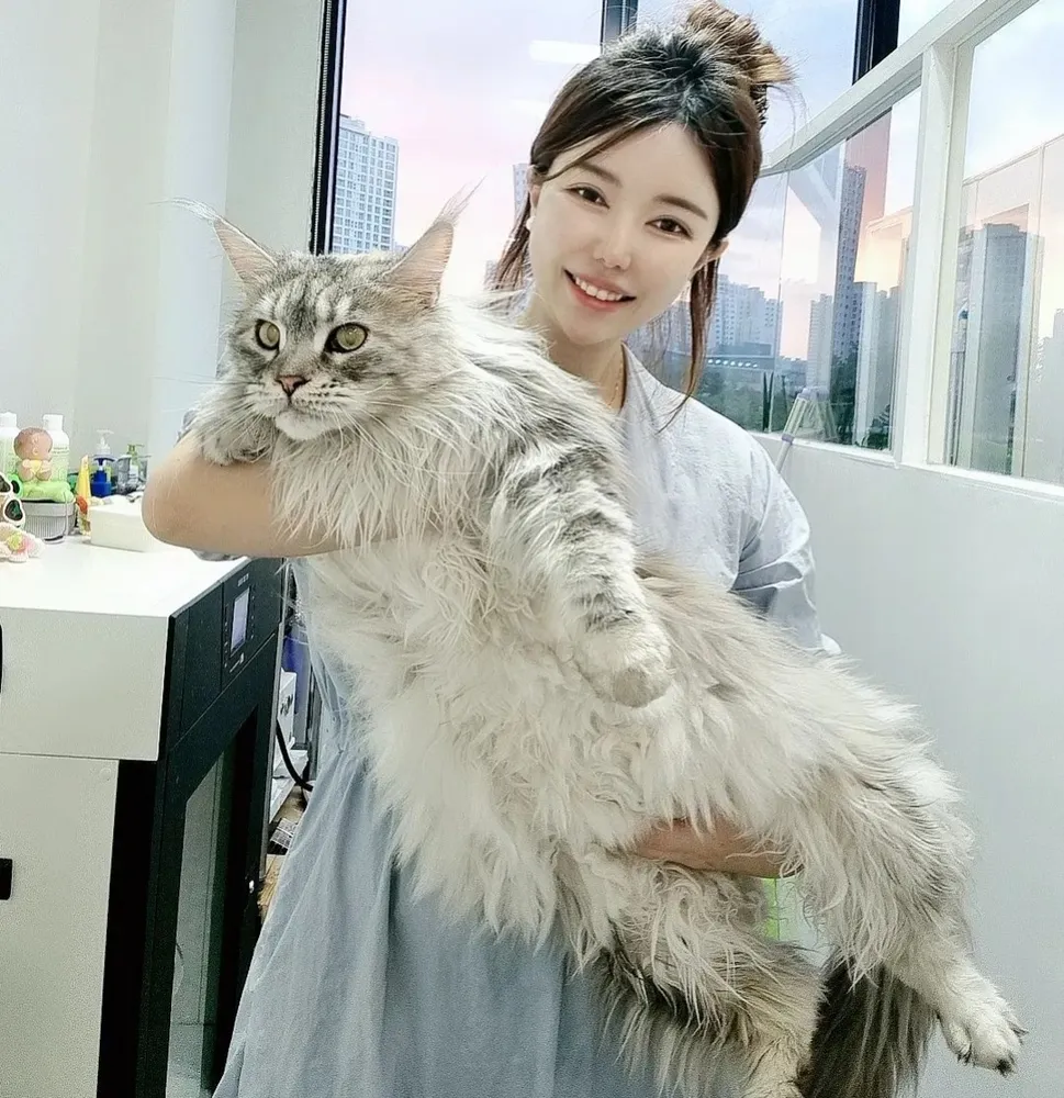 묘미앤 대표 이미지