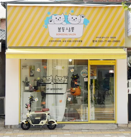 봄동살롱 고양이미용실 대표 이미지