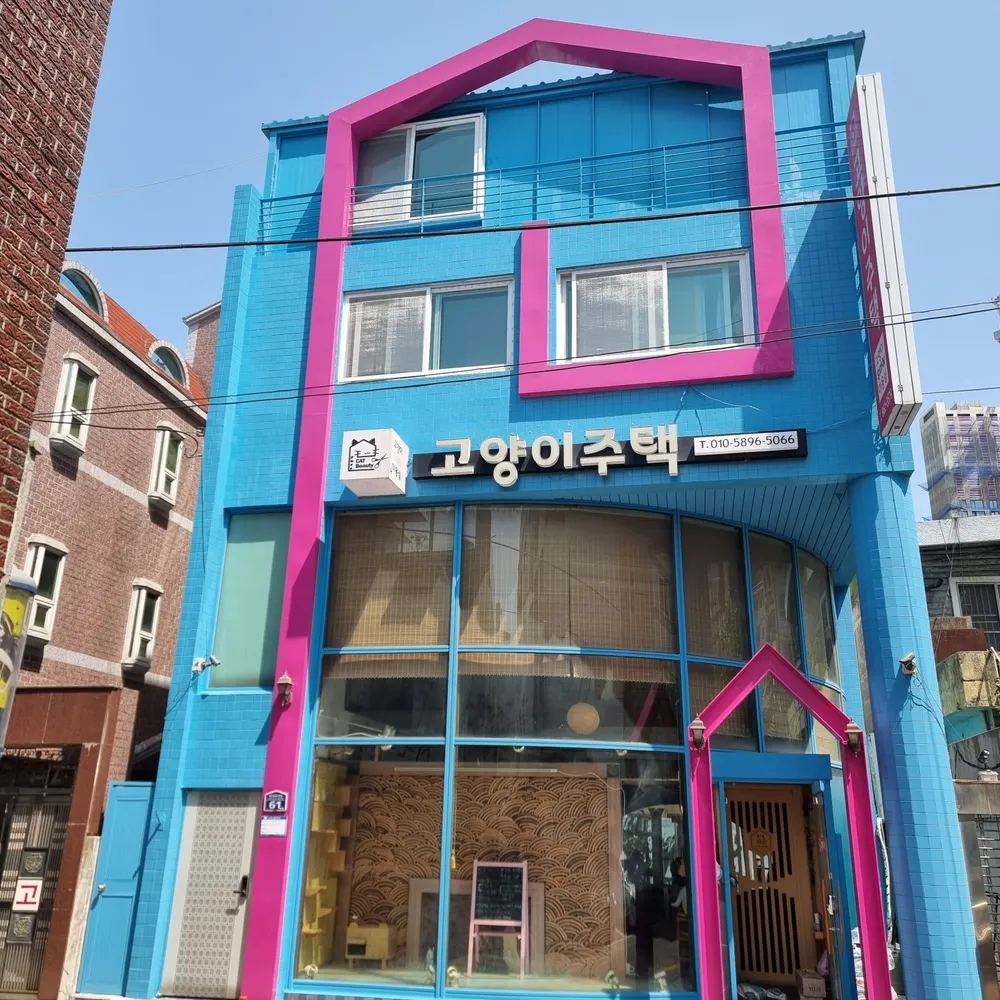 고양이주택 대표 이미지