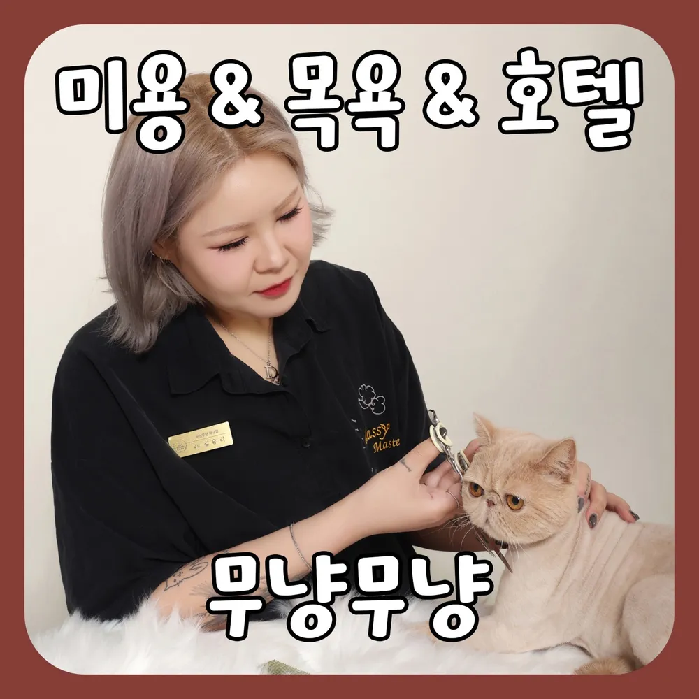 대구고양이미용&호텔 무냥무냥 방촌점 대표 이미지