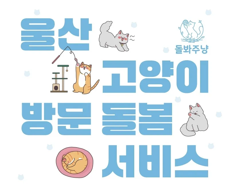 돌봐주냥 본점 대표 이미지