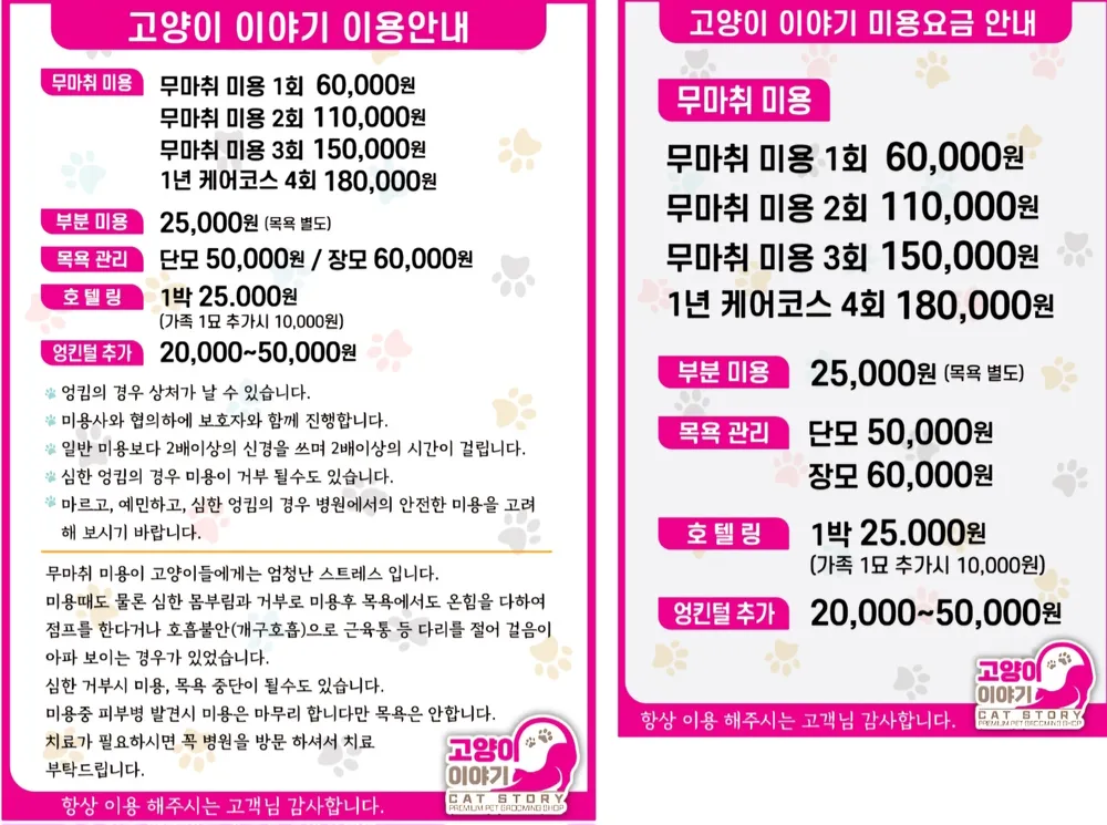 고양이이야기 대표 이미지
