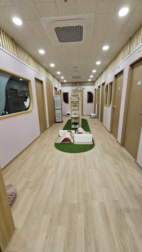 캣팰리스 대표 이미지