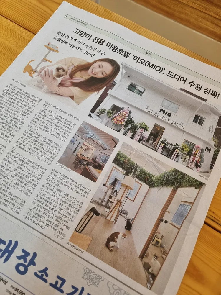 고양이미용호텔미오 수원점 대표 이미지