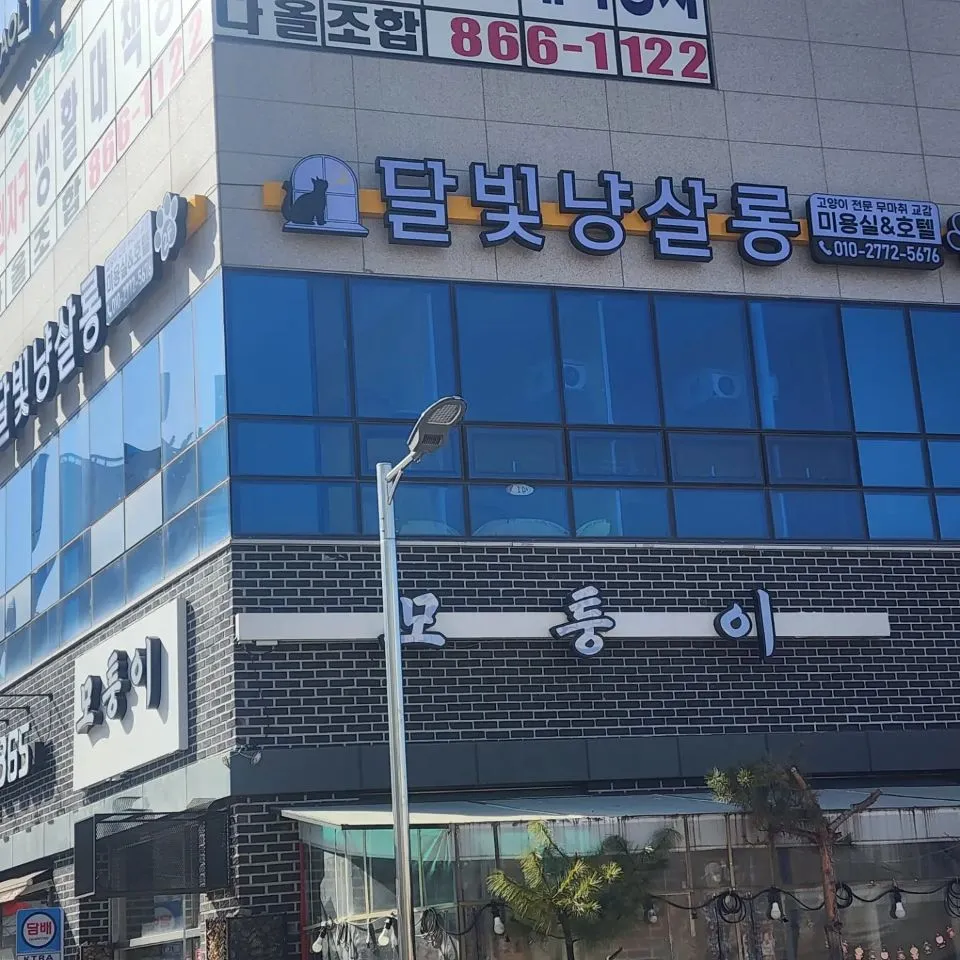 달빛냥살롱 대표 이미지