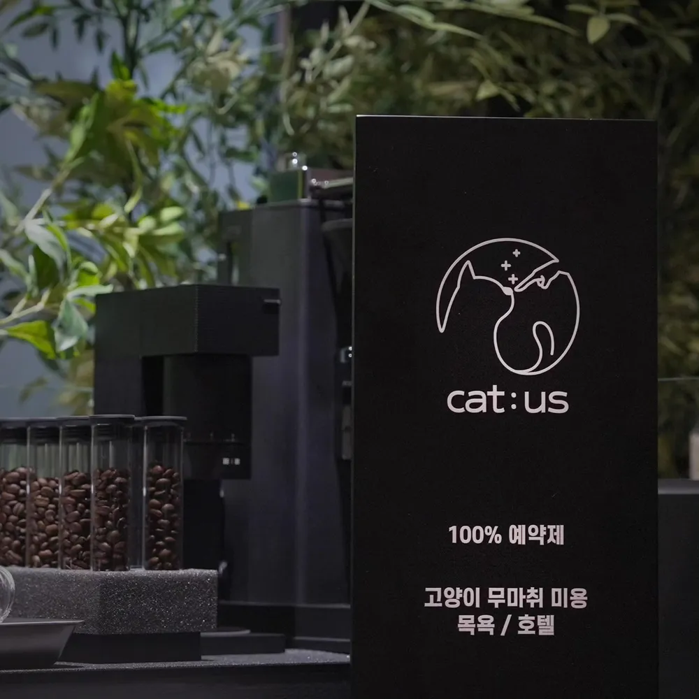 고양이미용 캣어스 본점 대표 이미지
