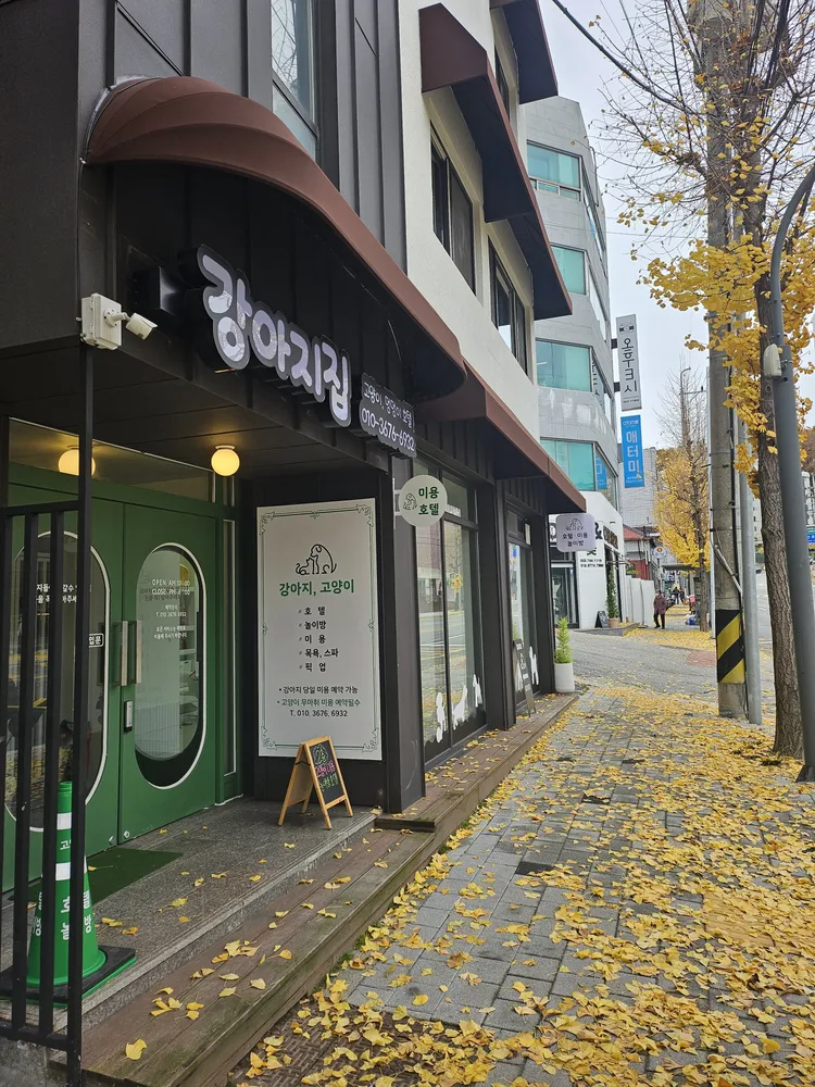 강아지집 대표 이미지