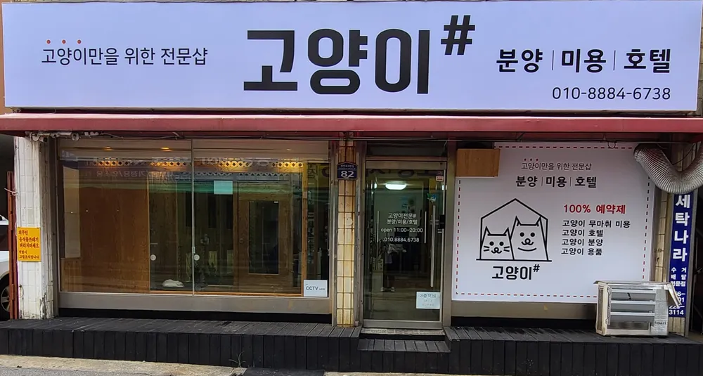 고양이샵 대표 이미지