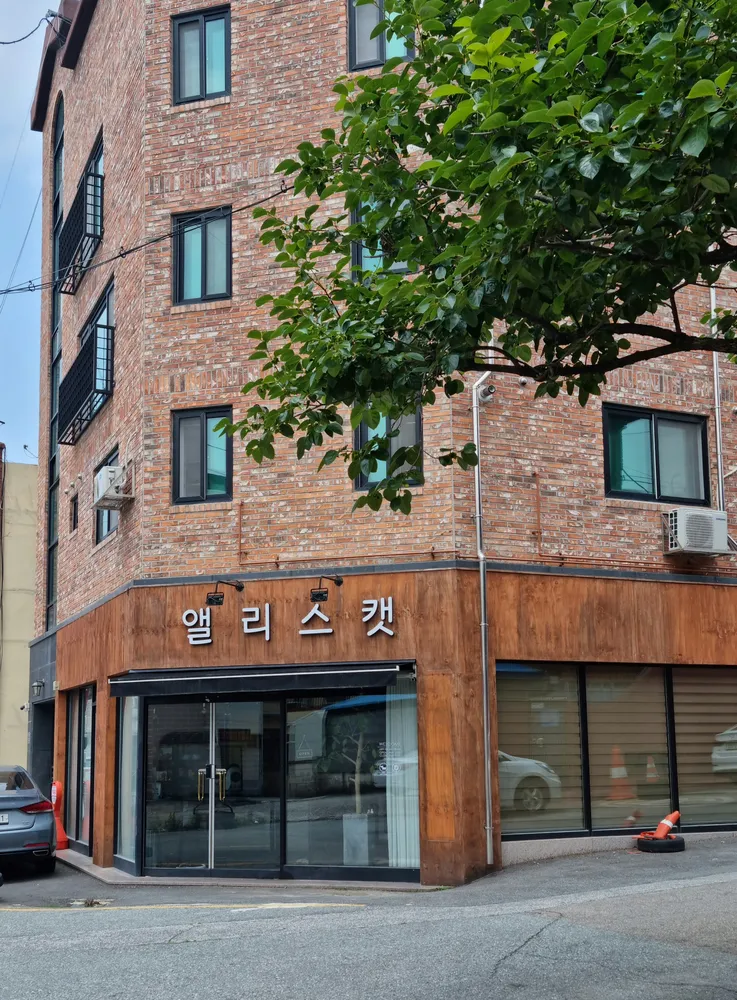 앨리스캣 대표 이미지