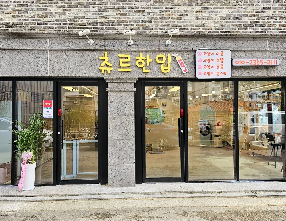 츄르한입 대표 이미지
