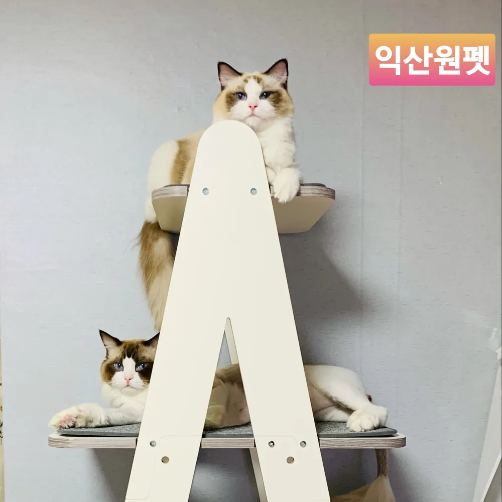 익산원펫 대표 이미지