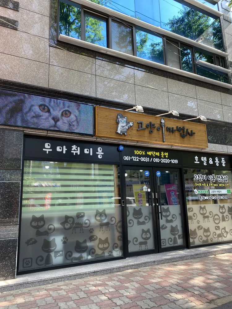 고양이마법사 대표 이미지