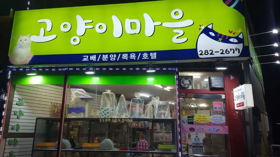 고양이마을 대표 이미지