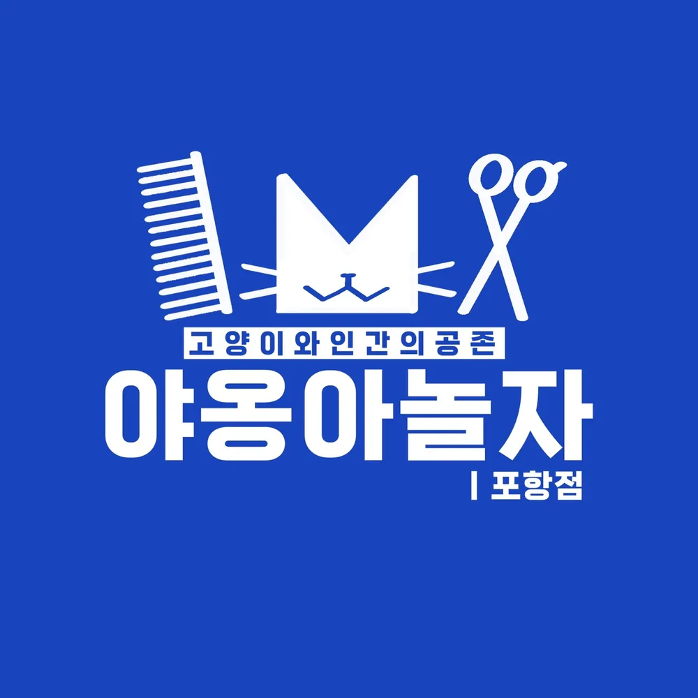 야옹아놀자 포항점 대표 이미지