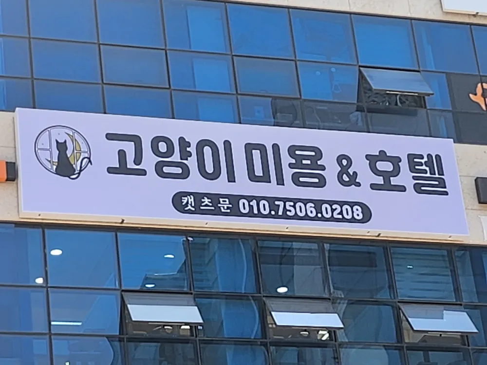 캣츠문 대표 이미지
