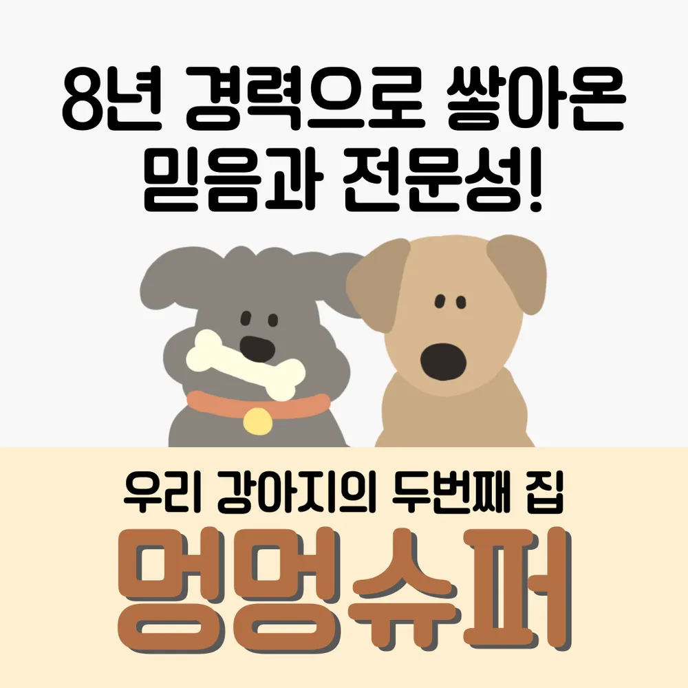 멍멍슈퍼 애견유치원 대표 이미지