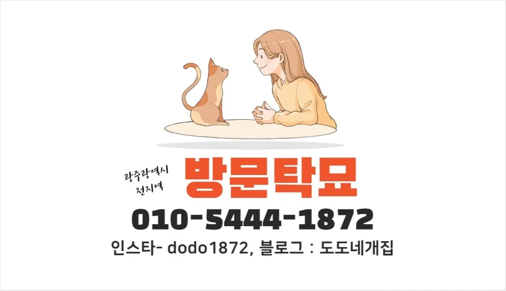 도도네개집 대표 이미지
