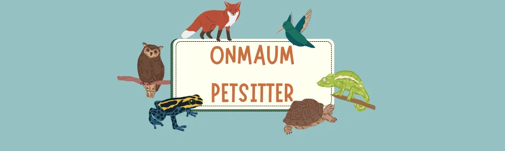 온마음 대표 이미지