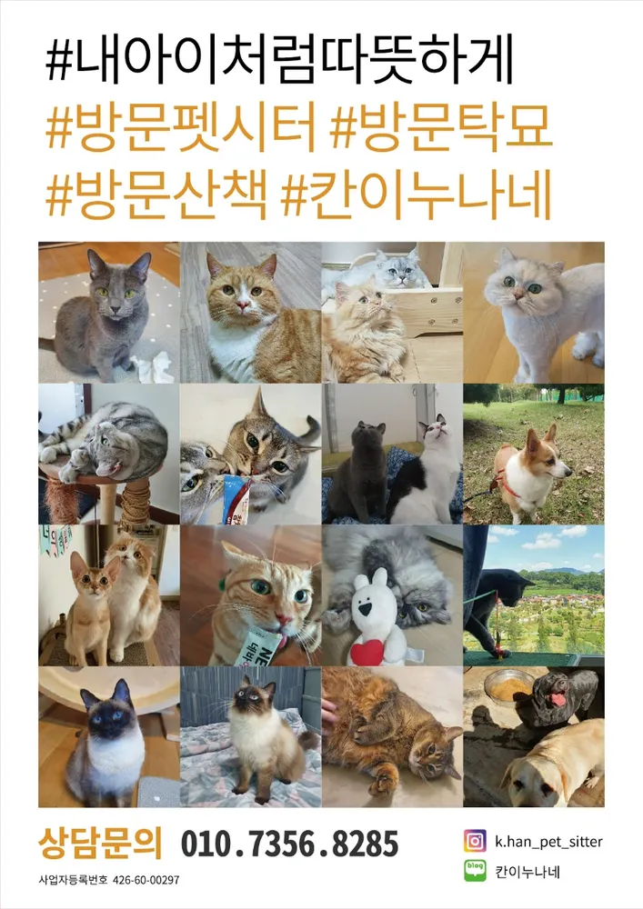 칸이누나네 펫시터 대표 이미지