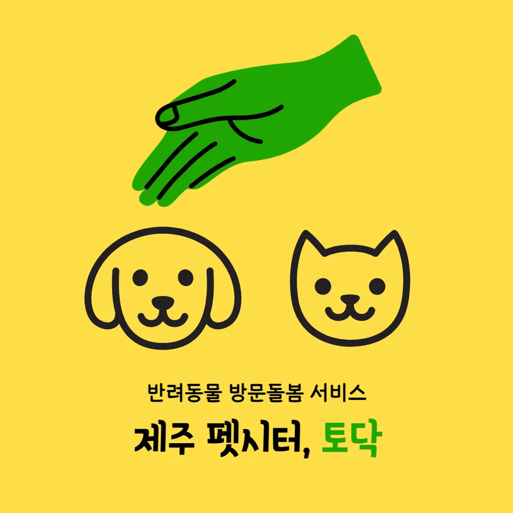 제주펫시터 토닥 대표 이미지