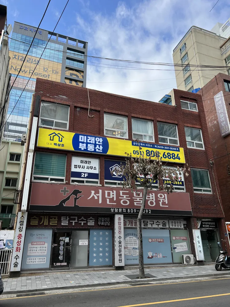 법무사이창호사무소 대표 이미지