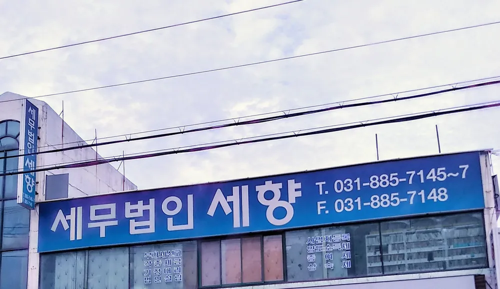 세무법인세향 대표 이미지