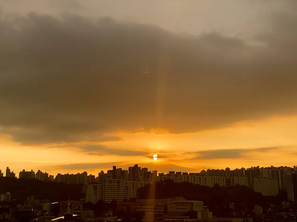 공인노무사김경식 대표 이미지