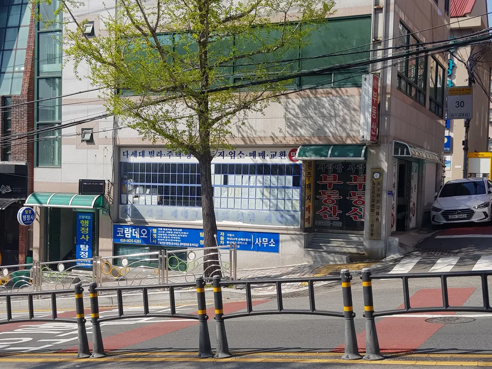 코람데오 대표 이미지