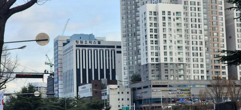 새아침행정사 대표 이미지