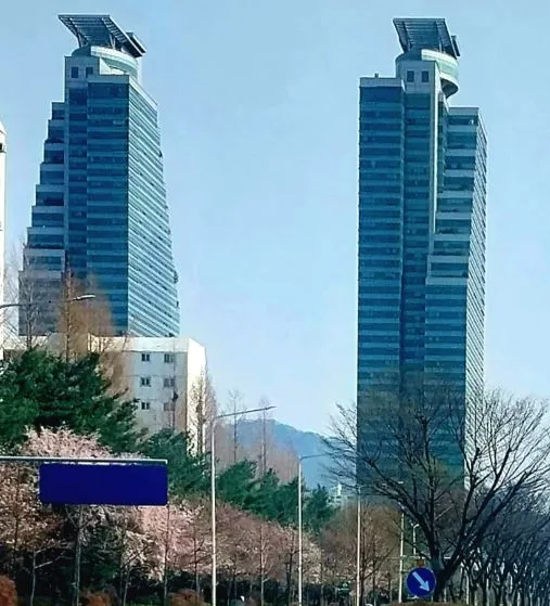 행정사사무소 세종 대표 이미지