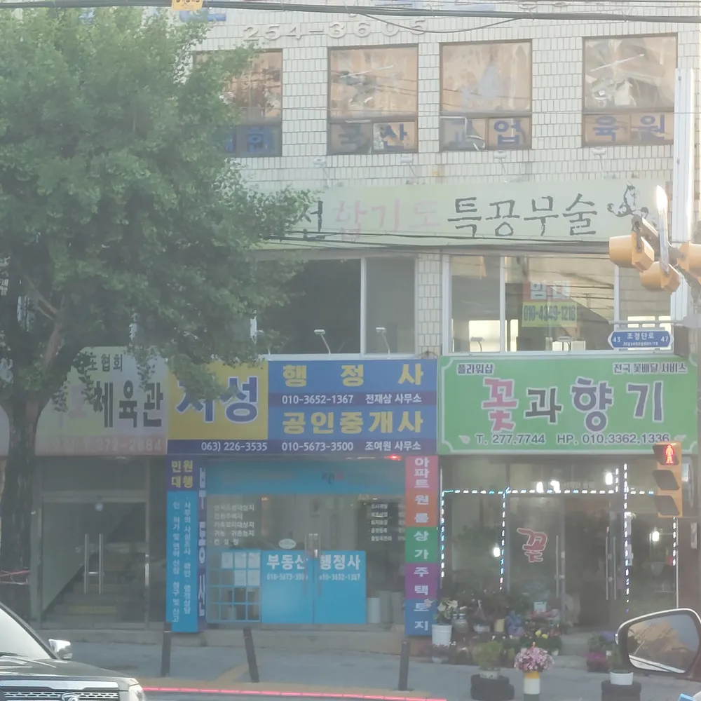 지성 행정사 공인중개사 대표 이미지