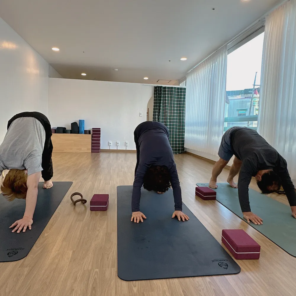 요가구나 대표 이미지