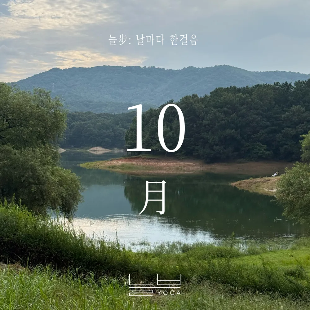 요가,늘보 대표 이미지
