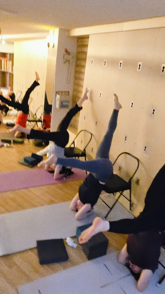 요가꽃피어나다 대표 이미지