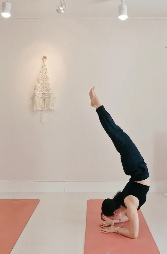 알리시아요가 대표 이미지