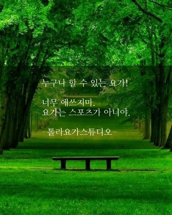 톨라요가스튜디오 대표 이미지