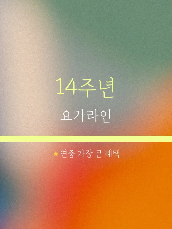 요가라인 대표 이미지